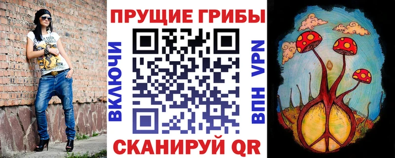 Псилоцибиновые грибы мицелий Ярцево